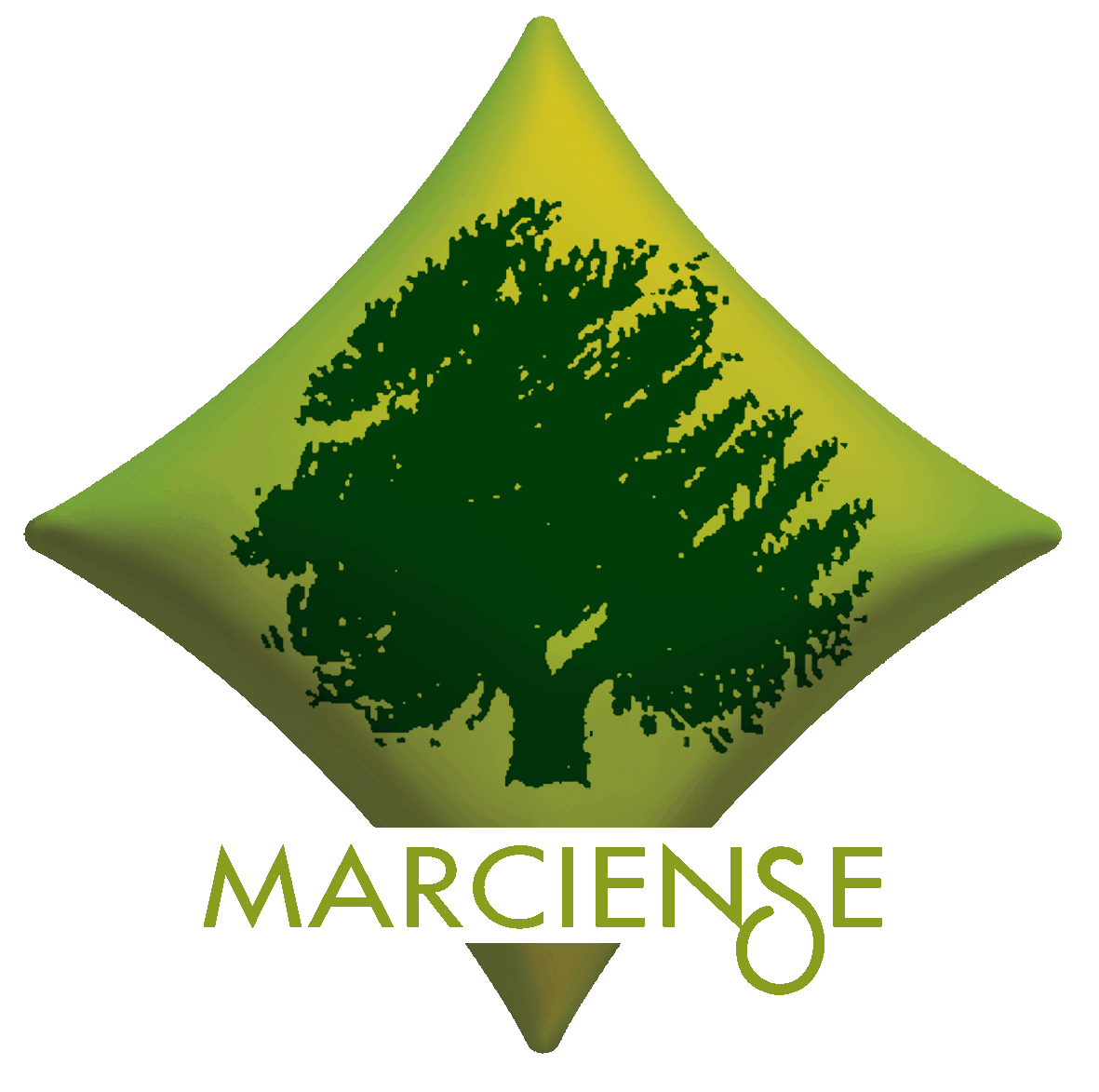 marciense.es